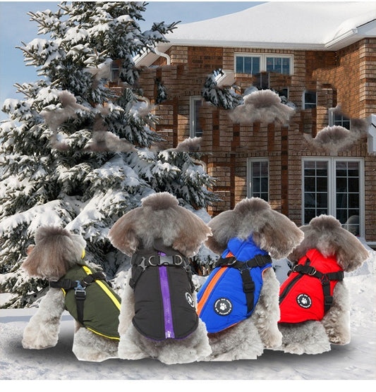 Padded Dog Harness Jacket